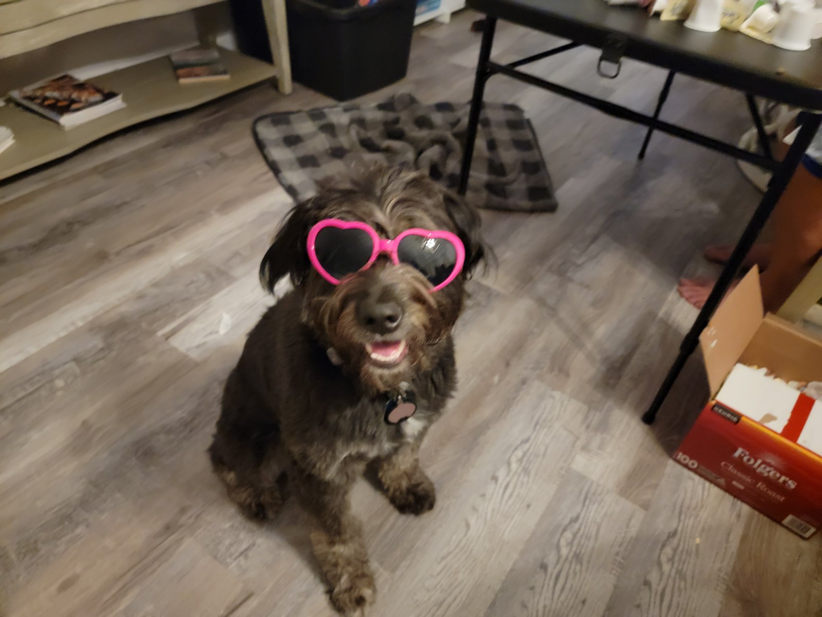 The Rosie Roo Diaries