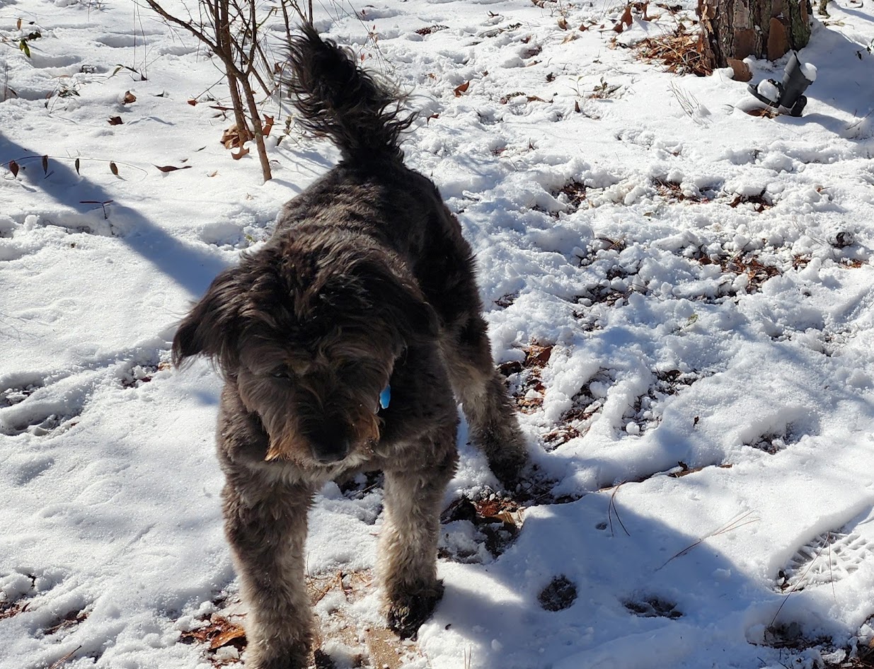 This fluffy white stuff is cold!