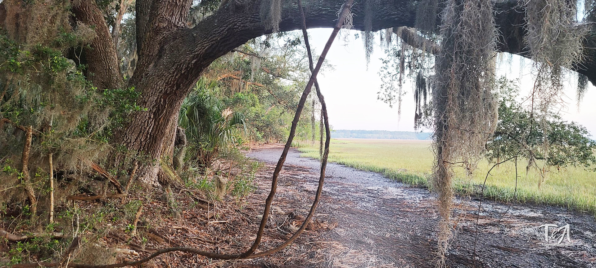 The smell of the marsh, reminds locals of home sweet home.