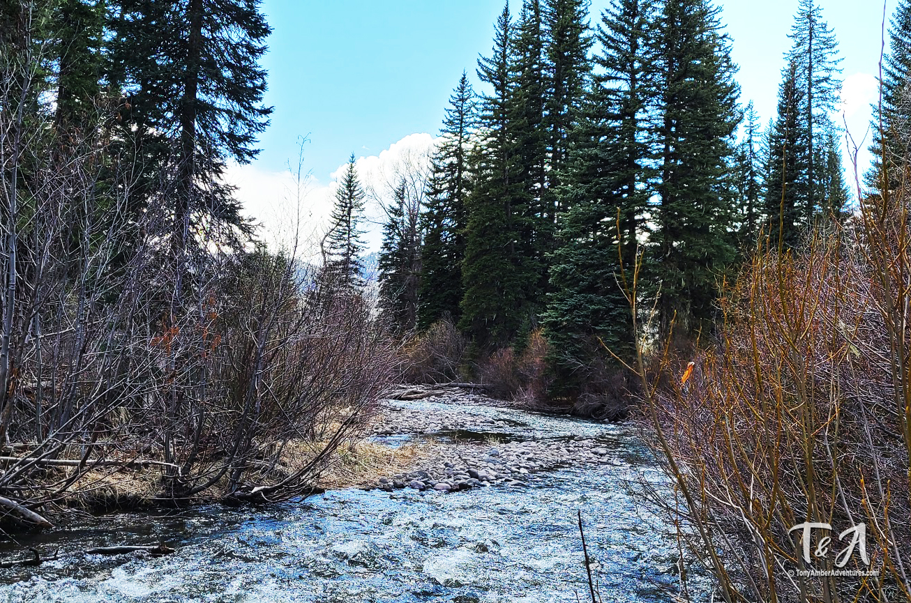 San Juan National Forest Peaceful River Stream